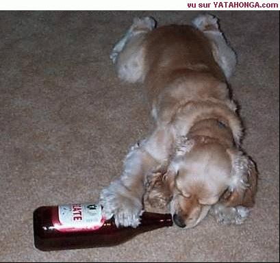 vous avez vu son etat??